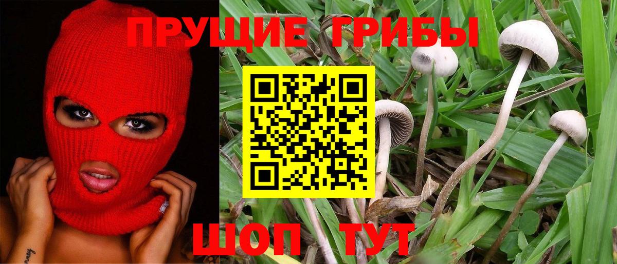 Псилоцибиновые грибы ЛСД  Вход с VPN  Ревда 